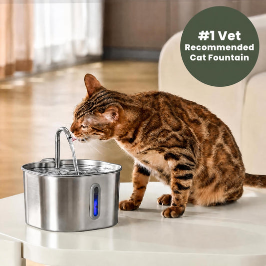 Whompsy stainless steel cat water fountain with a cat drinking from the faucet stream