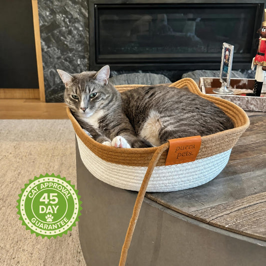 The Instinct Basket | Handwoven Cat Bed - noma