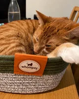 Whompsy cat basket