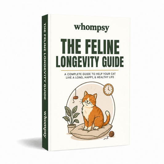The Feline Longevity Guide by Whompsy, book cover with an orange cat illustration